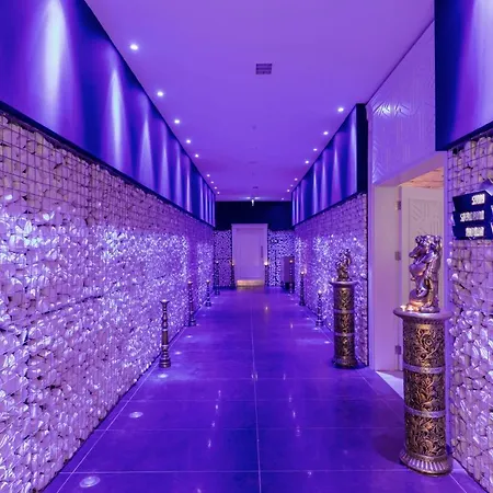 天狼星豪华酒店 酒店